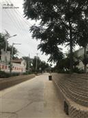 河北省,衡水市,故城县,武官寨镇,军王庙村