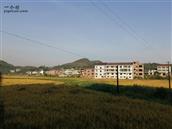 湖南省,衡阳市,衡东县,蓬源镇,翠家村