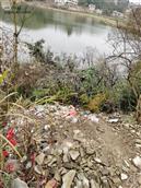 大锡村 凌角塘边成了垃圾堆！