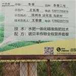 山东省,滨州市,沾化区,下洼镇,马武村