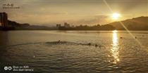 南崖社区 夕阳时分有几位游泳爱好者在修河游泳。