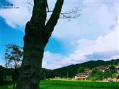 湖南省,邵阳市,城步县,汀坪乡,大候村