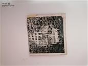 内蒙古,巴彦淖尔市,乌拉特前旗,巴彦淖尔市西山咀农场,八分场村