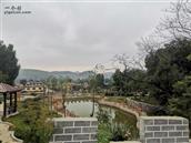 山东省,临沂市,费县,新庄镇,祥和村