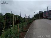 湖南省,株洲市,茶陵县,马江镇,浪滩村