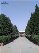 河北省,石家庄市,藁城区,贾市庄镇,张名甫村