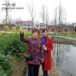 湖北省,潜江市,熊口镇,新林村