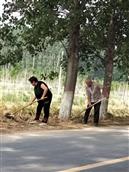 河南省,新乡市,封丘县,留光镇,胡村