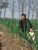 河南省,新乡市,封丘县,留光镇,胡村