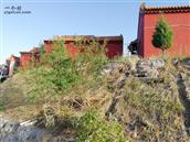 山西省,阳泉市,盂县,东梁乡,北蒋村