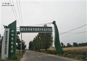 梧樟村 