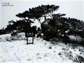 山东省,临沂市,沂水县,龙家圈镇,下肖家沟村