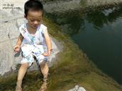 山东省,济南市,莱芜区,高庄街道,朝阳村