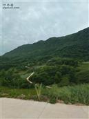 甘肃省,陇南市,成县,沙坝镇,桦树村