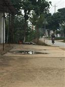 山东省,枣庄市,滕州市,龙阳镇,魏寺村