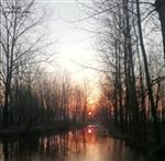 洼子埠村 河里的日出