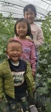 西尖庄村 小孩子在蔬菜大棚合照