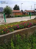 山东省,烟台市,招远市,夏甸镇,禾木程家村