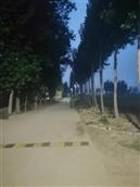 河北省,廊坊市,永清县,刘街乡,陈佃庄村