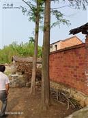 湖北省,随州市,随县,万和镇,宗湾村