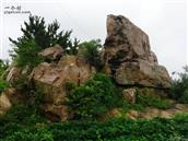 山东省,日照市,莒县,城阳街道,大崖头村