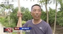 陕西省,渭南市,临渭区,交斜镇,芦任村
