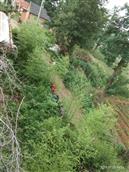 山东省,烟台市,招远市,夏甸镇,东宅科村