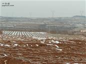 山东省,烟台市,招远市,夏甸镇,东宅科村