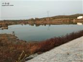 山东省,烟台市,招远市,夏甸镇,东宅科村