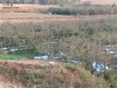 山东省,烟台市,招远市,夏甸镇,东宅科村