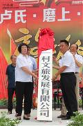河南省,三门峡市,陕州区,大营镇,大营村