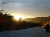 甘肃省,陇南市,成县,沙坝镇,桦树村