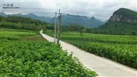 广西,河池市,宜州区,福龙乡,永良村