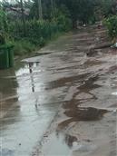 刘家苓芝社区 刘家苓芝的水和泥路，无法形容。
