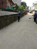 蒋家村 村庄整治，保洁员在清理村支路。