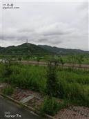 安徽省,安庆市,望江县,太慈镇,茶岭村