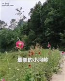 河南省,三门峡市,卢氏县,双槐树乡,东川村