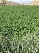 甘肃省,兰州市,永登县,龙泉寺镇,官路沟村