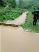 甘肃省,陇南市,成县,沙坝镇,桦树村