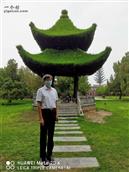 河南省,三门峡市,陕州区,大营镇,大营村