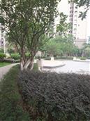 广西,贵港市,桂平市,西山镇,上垌村