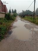 宋营村 宋营学校一下雨，路上到处都是水呀。
