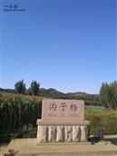 山东省,烟台市,莱州市,朱桥镇,沟子杨村