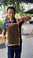 卢山村 古蔺醉甜蜜蜂业有限公司
