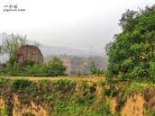 山西省,忻州市,原平市,东社镇,沟里村