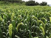 山西省,忻州市,原平市,东社镇,沟里村