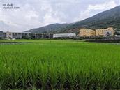 福建省,福州市,长乐区,玉田镇,长青村
