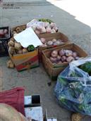 孔村 孔村蔬菜水果经销点，在一西头街口。每天新鲜果蔬，价格优惠。经销人郭领军
