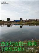 西余村 沈阳市辽中区四方台镇西余村街拍作者轻松