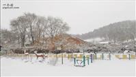 小城子村 小城子村冬季的文化广场雪景。